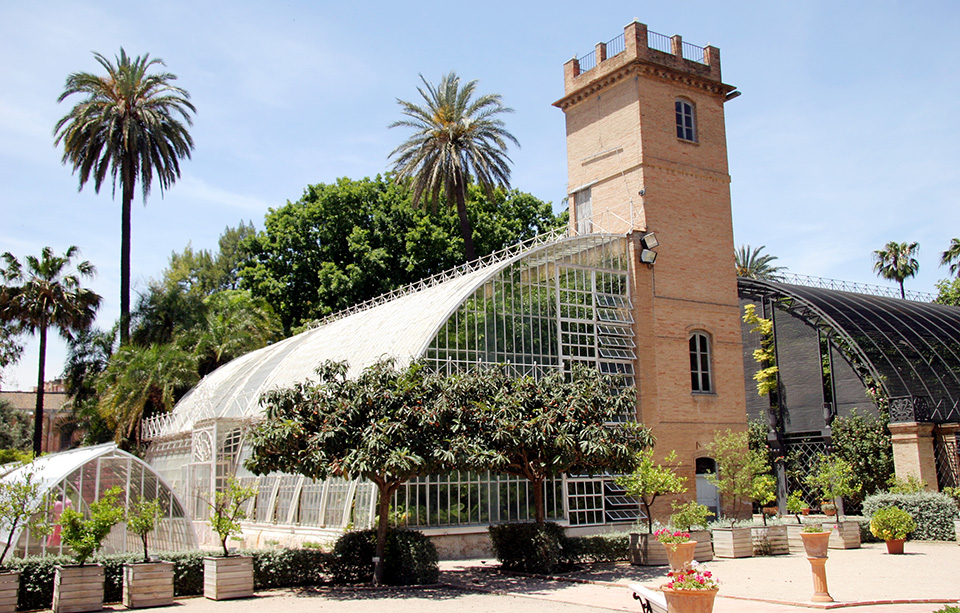 Jardin Botanique