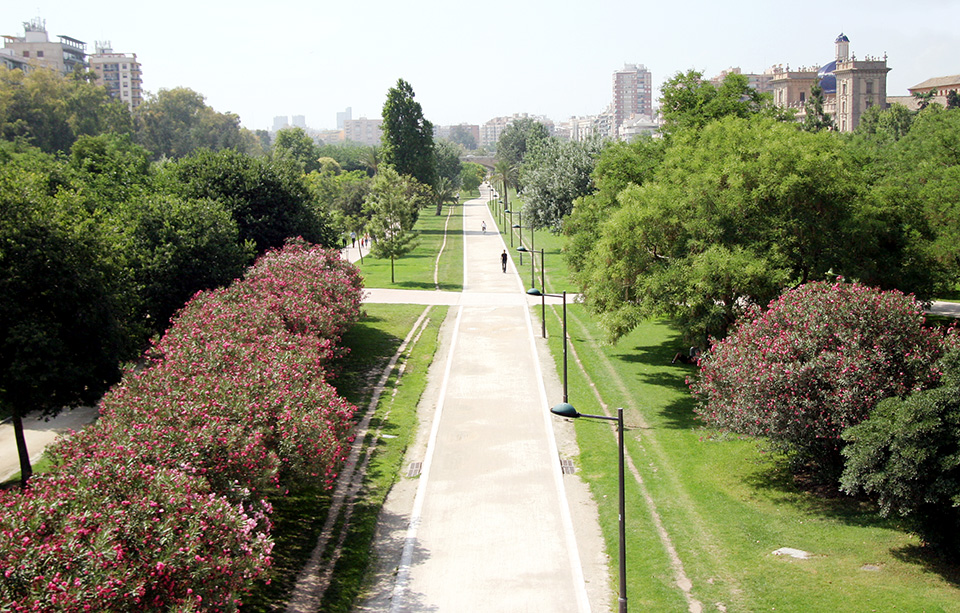 Turia River Gardens