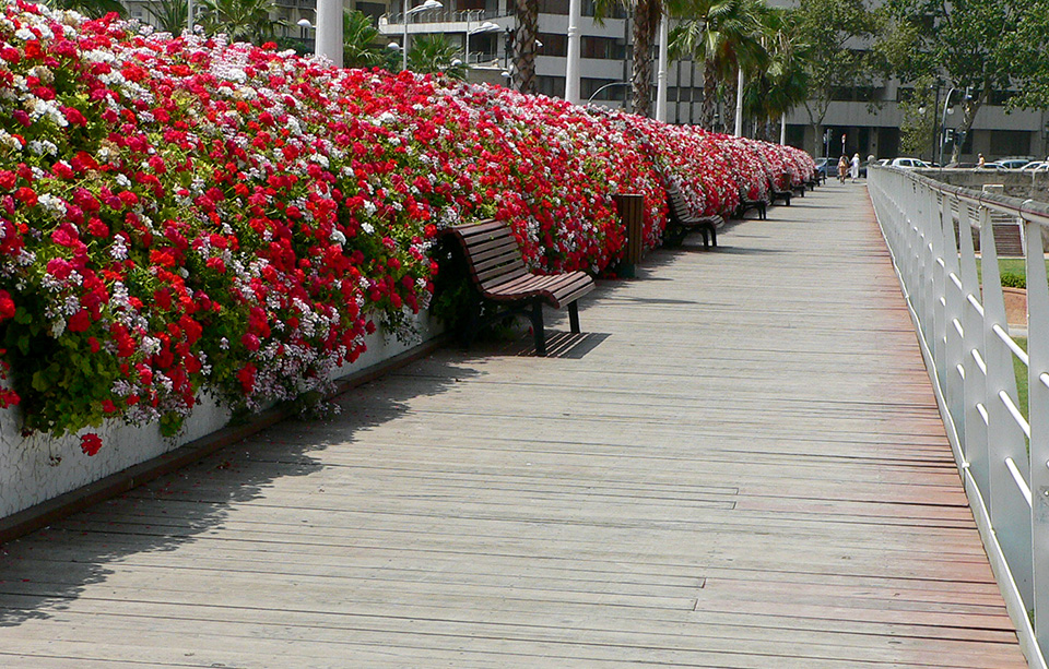 Pont des Fleurs à Valence