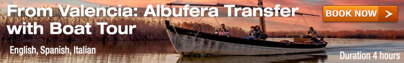 From Valencia Albufera Transfer with Boat Tour