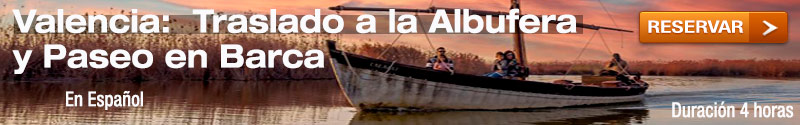 Desde Valencia Traslado a la Albufera con Paseo en Barca