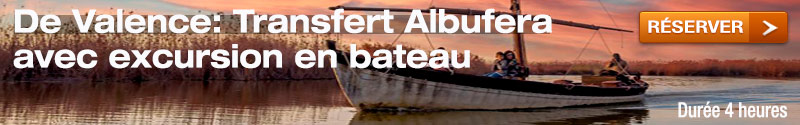 De Valence Transfert Albufera avec excursion en bateau