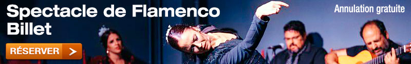 Flamenco à Valence