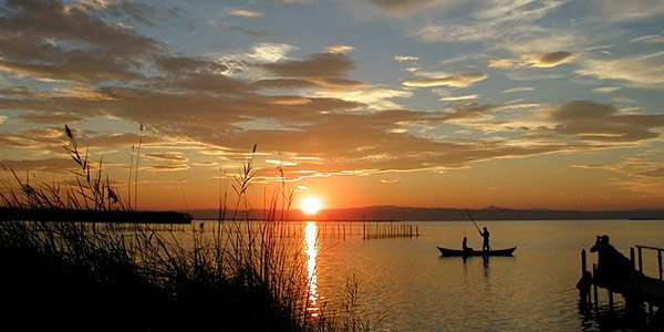 Gita di un giorno a La Albufera