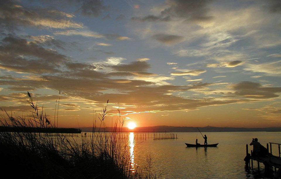 Paseo en barca por la Albufera